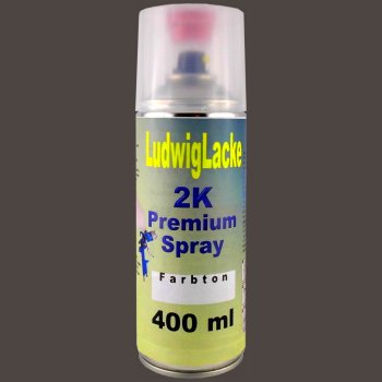 RAL 8019 GRAUBRAUN 2K Premium Spray 400ml