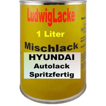 Hyundai Dark Gray,Metallic SAE Bj.: 09 bis 12