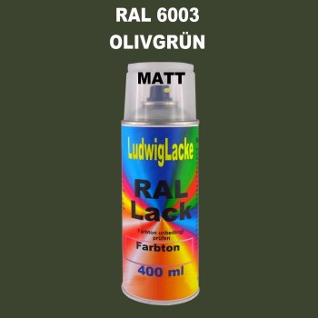 RAL 6003 OlivGrün Matt 400 ml 1K Spray