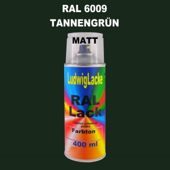 RAL 6009 TannenGrün Matt 400 ml 1K Spray