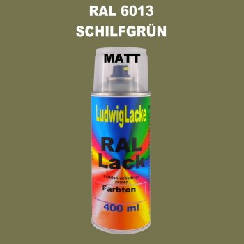 RAL 6013 SCHILFGRÜN Matt 400 ml 1K Spray