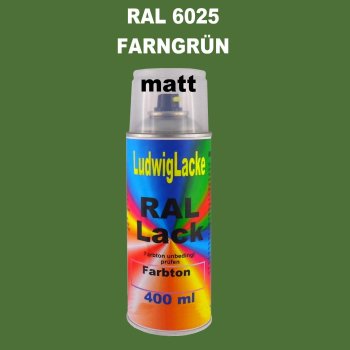 RAL 6025 FARNGRÜN Matt 400 ml 1K Spray