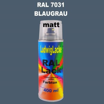 RAL 7031 BLAUGRAU Matt 400 ml 1K Spray