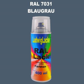 RAL 7031 BLAUGRAU Seidenmatt 400 ml 1K Spray
