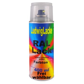 RAL Farbton wählbar Matt 400 ml 1K Spray